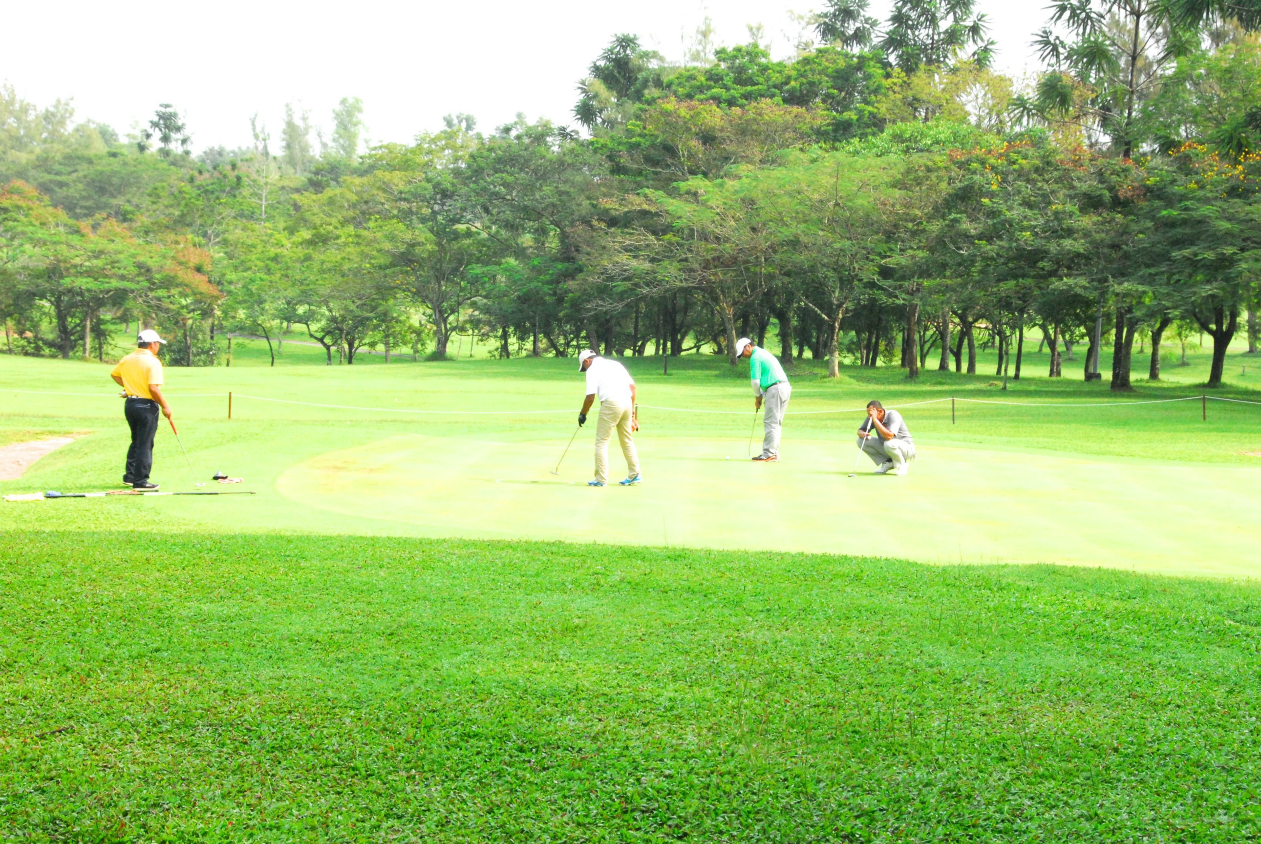 PRO15 157 GOLF DSC 0354.JPG